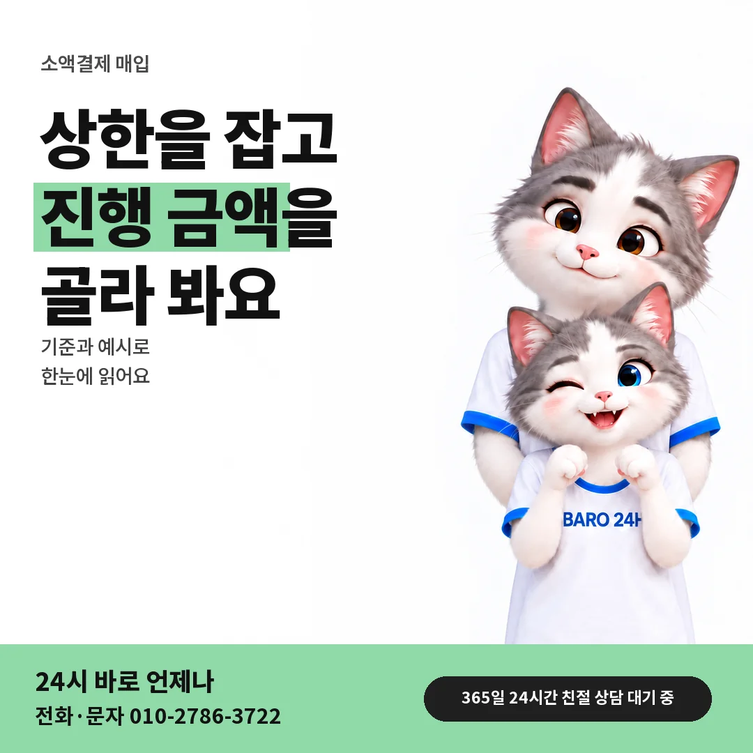 BARO 24H 티셔츠를 입은 3D 동물 캐릭터 옆에 「한도 안에서 금액 정하기」 제목을 얹은 안내 카드
