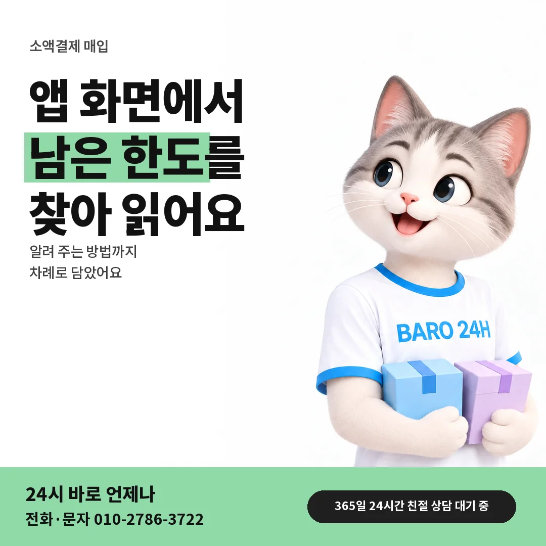 BARO 24H 티셔츠를 입은 3D 동물 캐릭터 옆에 「남은 한도 확인 방법」 제목을 얹은 안내 카드