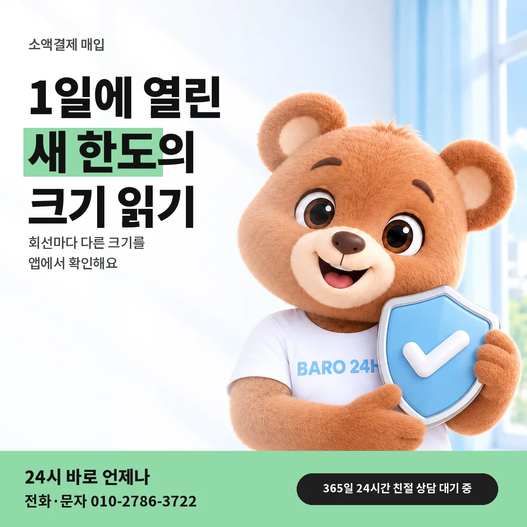 방패를 든 BARO 24H 티셔츠를 입은 3D 곰 캐릭터 옆에 「1일에 새로 잡히는 한도」 제목을 얹은 안내 카드