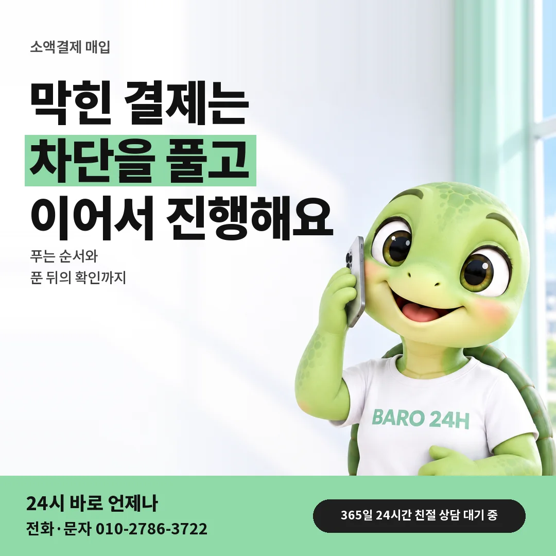 BARO 24H 티셔츠를 입은 3D 거북이 캐릭터 옆에 「결제 차단 풀기」 제목을 얹은 안내 카드